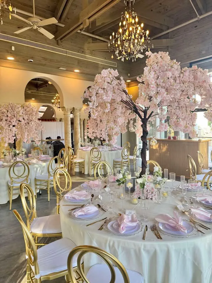 Event setup by Annabelle Party Rentals