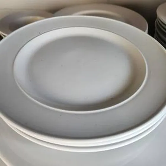 Dinner plate